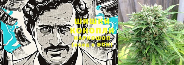 PSILOCYBIN Алексин
