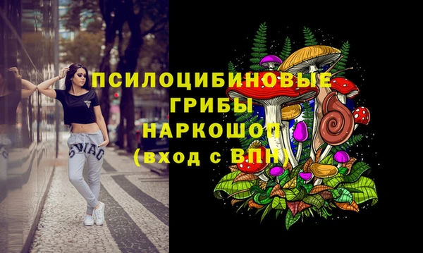 молекула духа Алексеевка