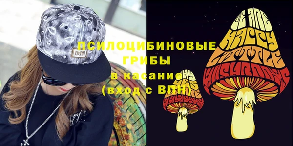PSILOCYBIN Алексин