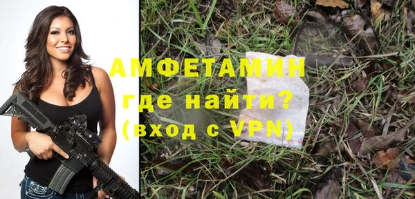 молекула духа Алексеевка