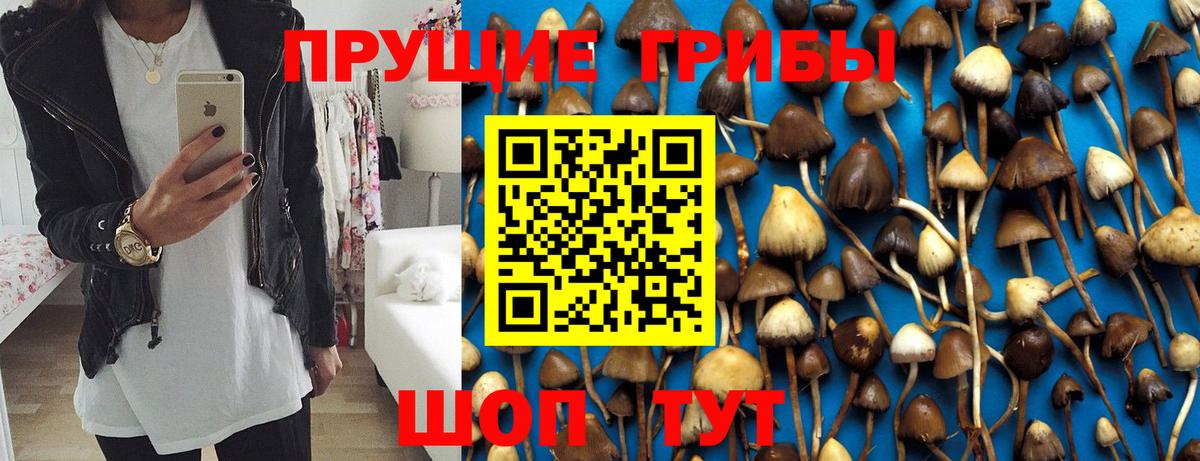 Псилоцибиновые грибы ЛСД  Вход с VPN  Мегион  Галлюциногенные грибы ЛСД 