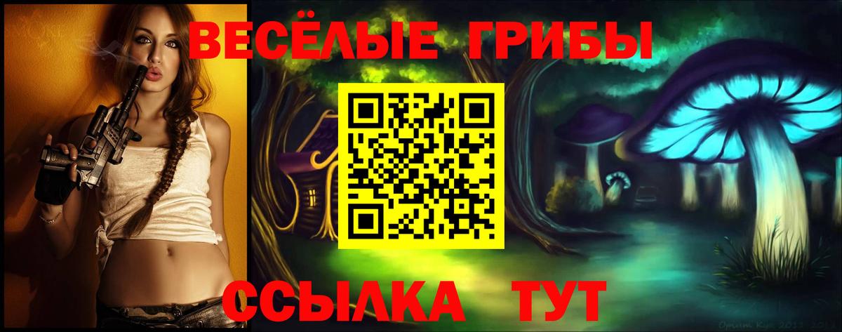 Псилоцибиновые грибы Cubensis Мегион